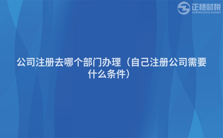 公司注册去哪个部门办理(自己注册公司需要什么条件)