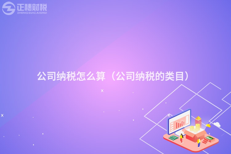 公司纳税怎么算(公司纳税的类目)