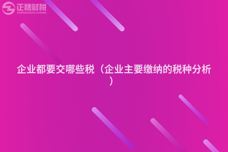 企业都要交哪些税(企业主要缴纳的税种分析)
