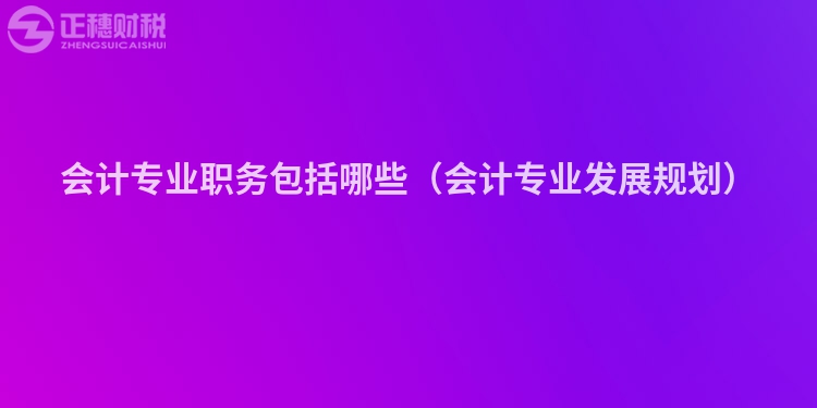 会计专业职务包括哪些（会计专业发展规划）