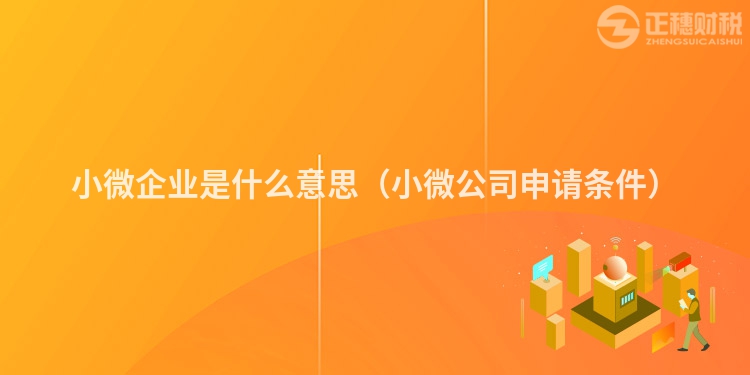 小微企业是什么意思(小微公司申请条件)