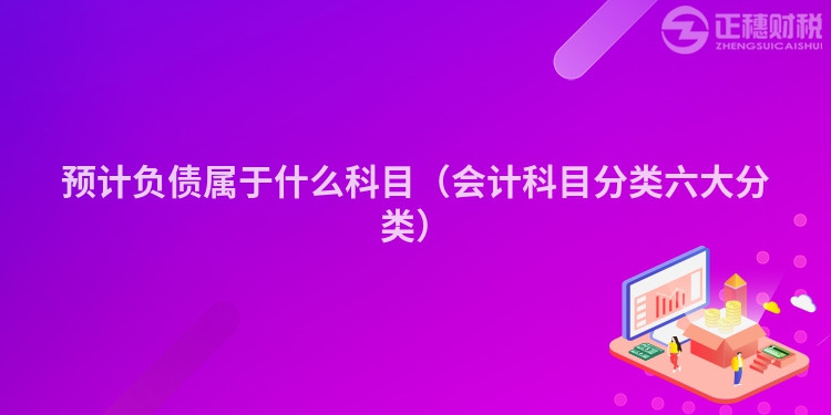 预计负债属于什么科目(会计科目分类六大分类)
