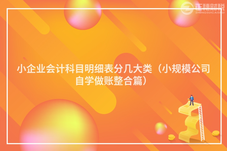 小企业会计科目明细表分几大类(小规模公司自学做账整合篇)