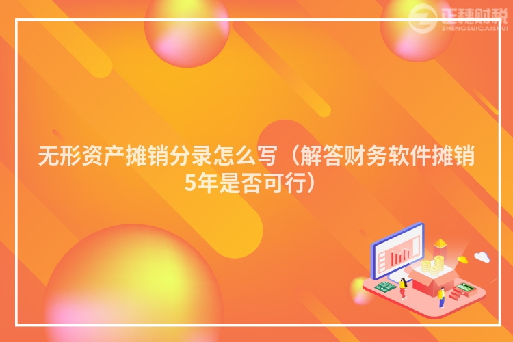 无形资产摊销分录怎么写(解答财务软件摊销5年是否可行)