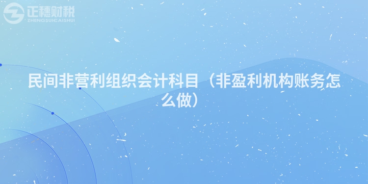 民间非营利组织会计科目(非盈利机构账务怎么做)