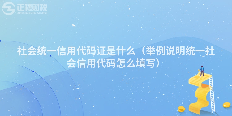 社会统一信用代码证是什么(举例说明统一社会信用代码怎么填写)