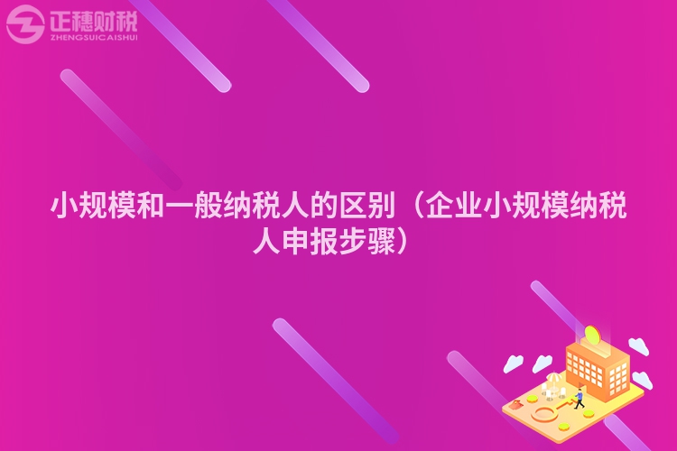小规模和一般纳税人的区别(企业小规模纳税人申报步骤)
