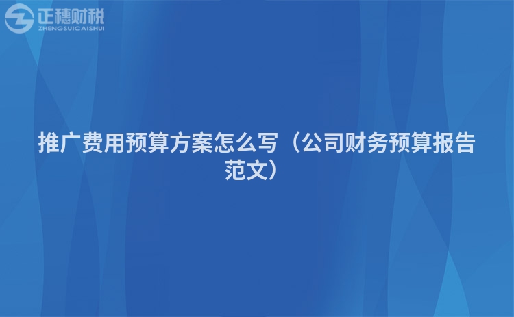 推广费用预算方案怎么写(公司财务预算报告范文)