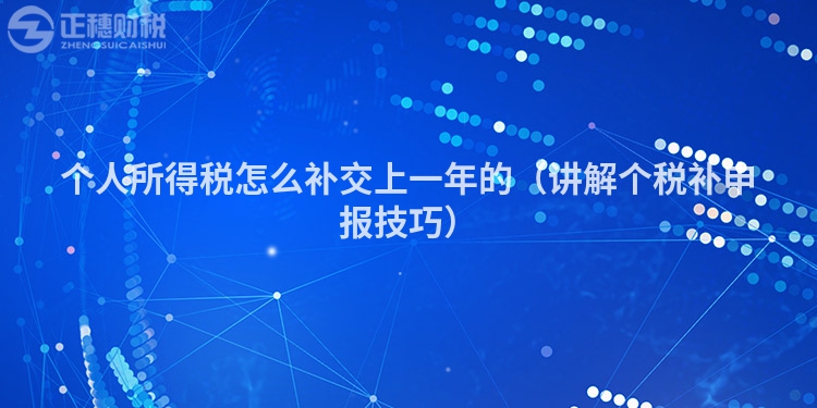 个人所得税怎么补交上一年的(讲解个税补申报技巧)