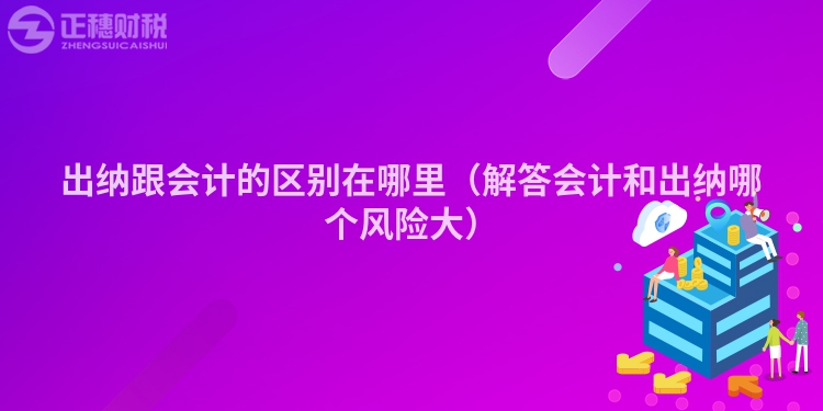 出纳跟会计的区别在哪里(解答会计和出纳哪个风险大)