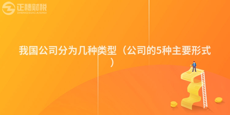 我国公司分为几种类型(公司的5种主要形式)