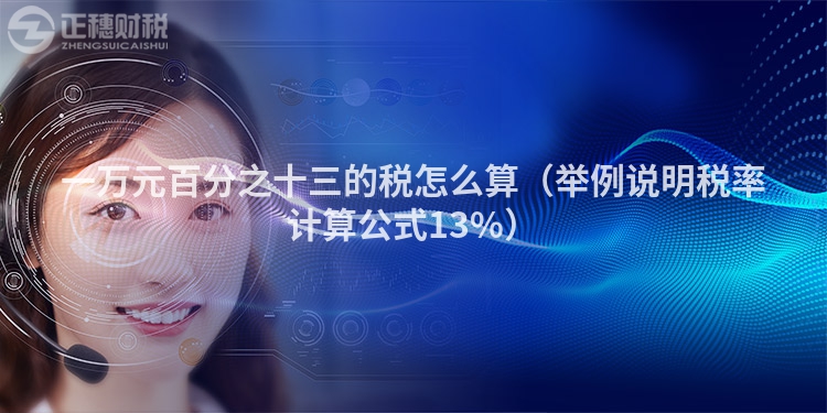 一万元百分之十三的税怎么算(举例说明税率计算公式13%)
