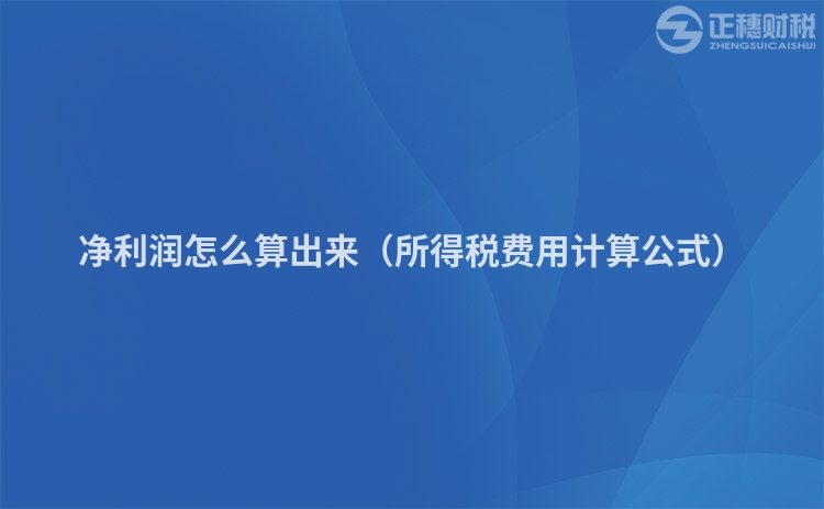 净利润怎么算出来(所得税费用计算公式)