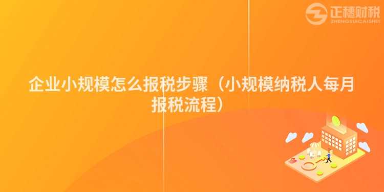 企业小规模怎么报税步骤(小规模纳税人每月报税流程)