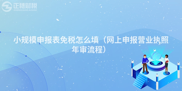 小规模申报表免税怎么填(网上申报营业执照年审流程)