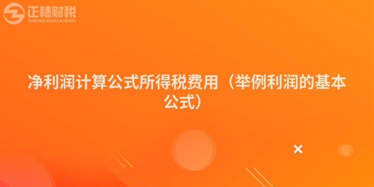 净利润计算公式所得税费用(举例利润的基本公式)