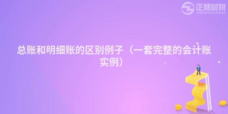 总账和明细账的区别例子(一套完整的会计账实例)