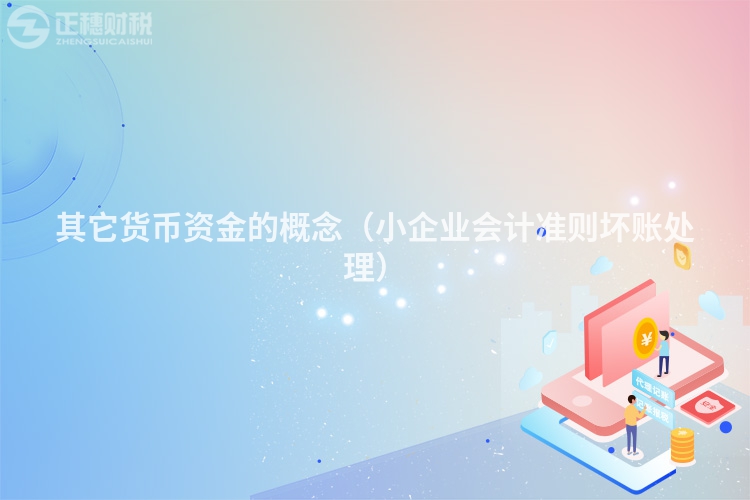 其它货币资金的概念(小企业会计准则坏账处理)