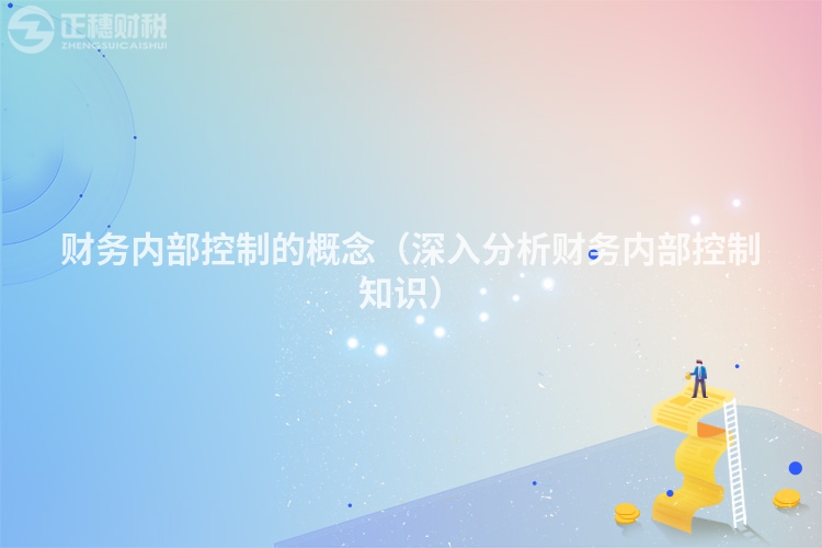 财务内部控制的概念(深入分析财务内部控制知识)