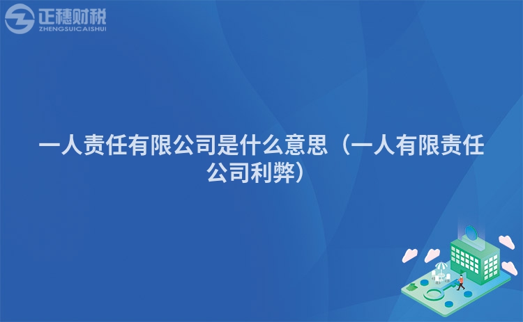 一人责任有限公司是什么意思(一人有限责任公司利弊)