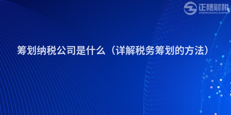 筹划纳税公司是什么(详解税务筹划的方法)