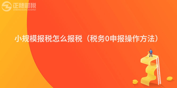 小规模报税怎么报税(税务0申报操作方法)