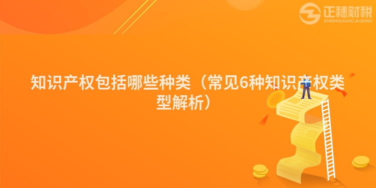 知识产权包括哪些种类（常见6种知识产权类型解析）