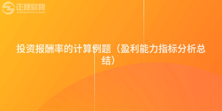 投资报酬率的计算例题(盈利能力指标分析总结)
