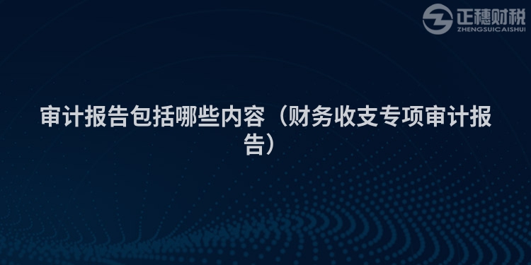 审计报告包括哪些内容(财务收支专项审计报告)