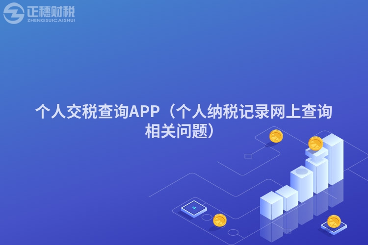 个人交税查询APP(个人纳税记录网上查询相关问题)